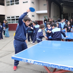 Día de la Actividad Física